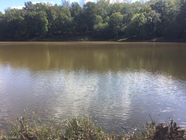 1264 Forge Mill Road King, NC 27021 - Photo 5 of 21