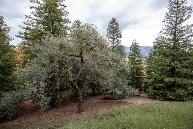 $1,500,000 | 1464 Bullion Circle, San Jose, CA 95120