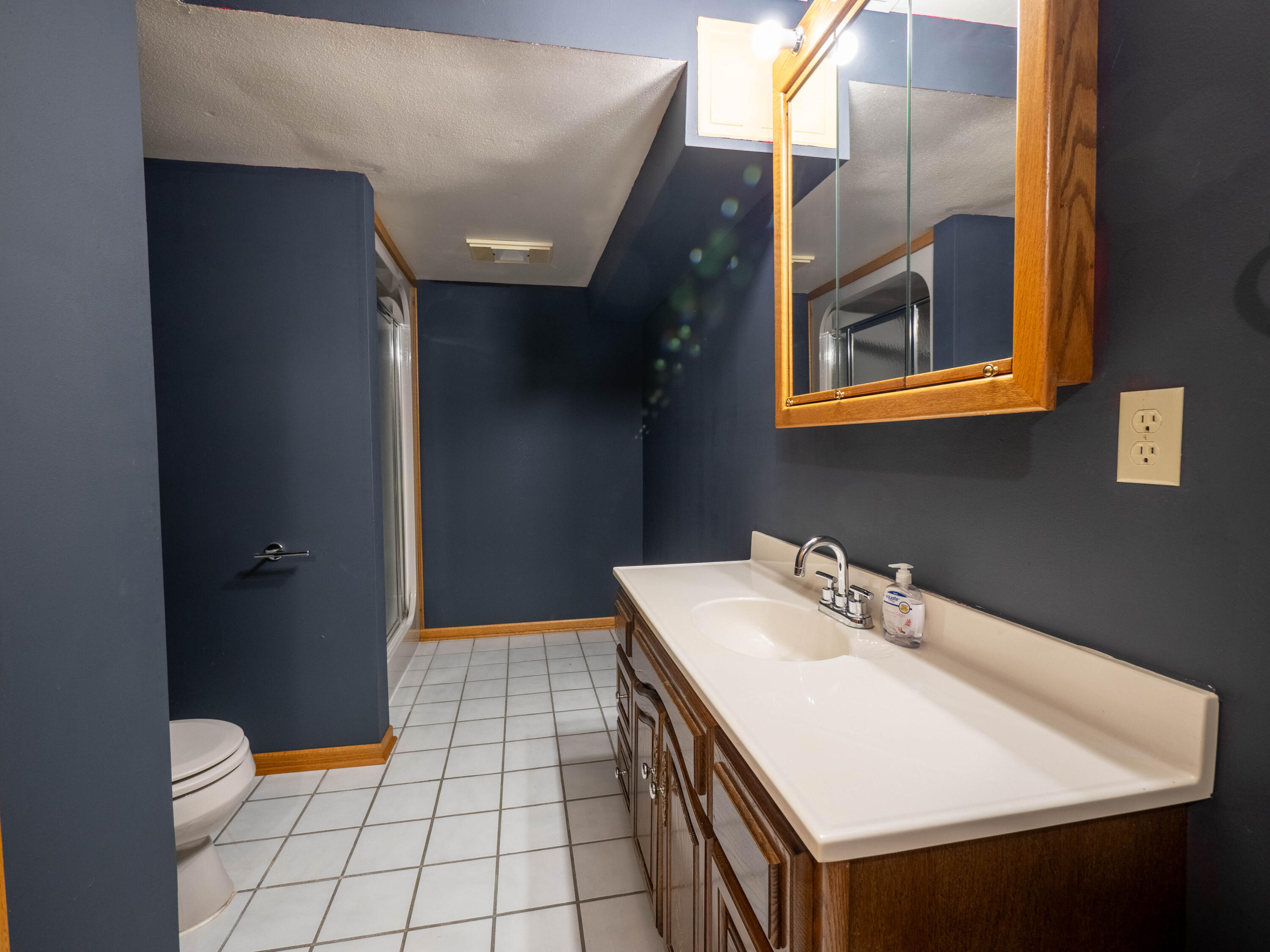 N6185 Country View Lane Concord, WI 53178 - Photo 22 of 28 Bathroom LL