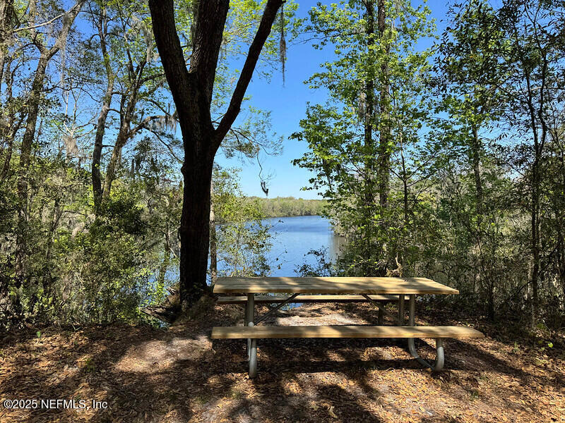 3452 Rustic Oak Trail Middleburg, FL 32068 - Photo 5 of 25 Black Creek Ravines