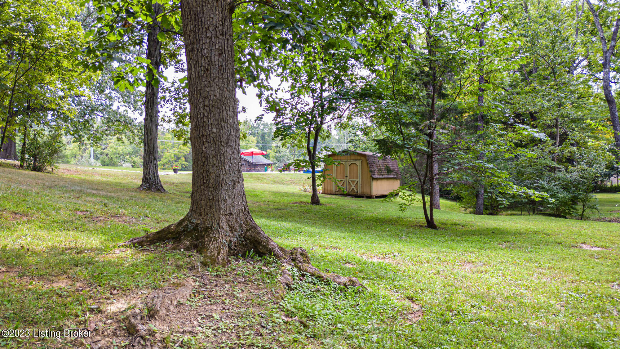 1900 Hunters Trace Road La Grange, KY 40031 - Photo 56 of 57 Extra shed