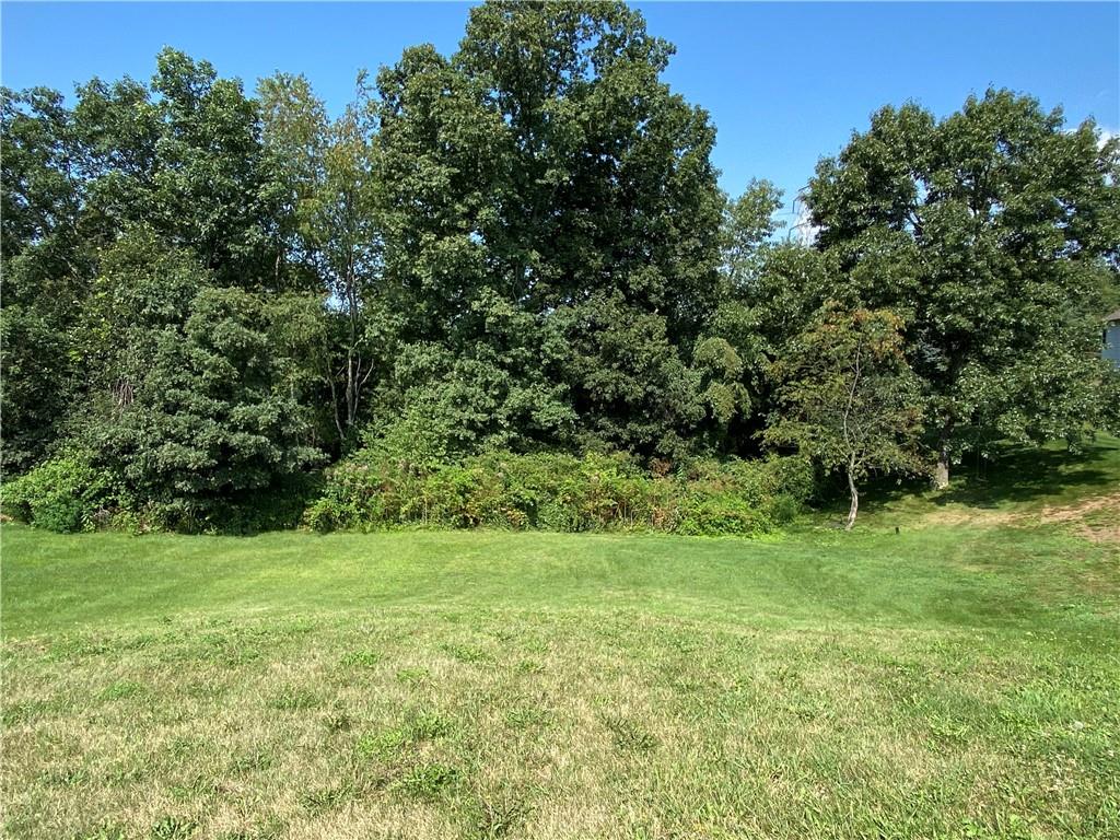 a view of a grassy field with trees in the background