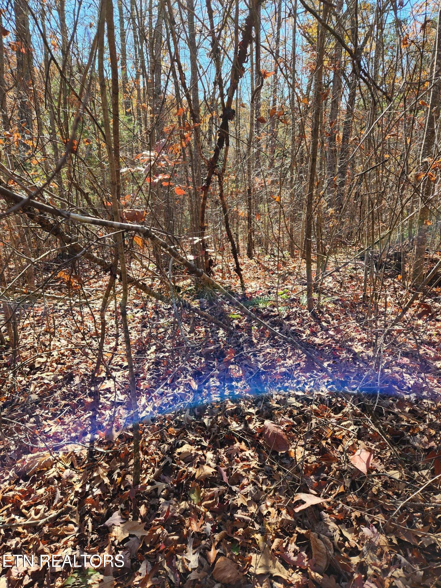 1000003317 (1)