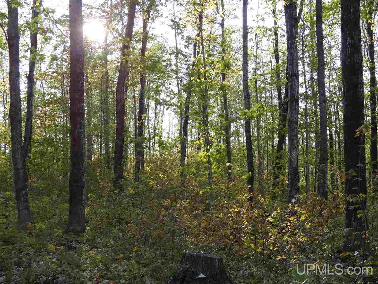 Tbd Off Coles Creek Road, Unit PARCEL 12 Hancock, MI 49931 - Photo 8 of 15