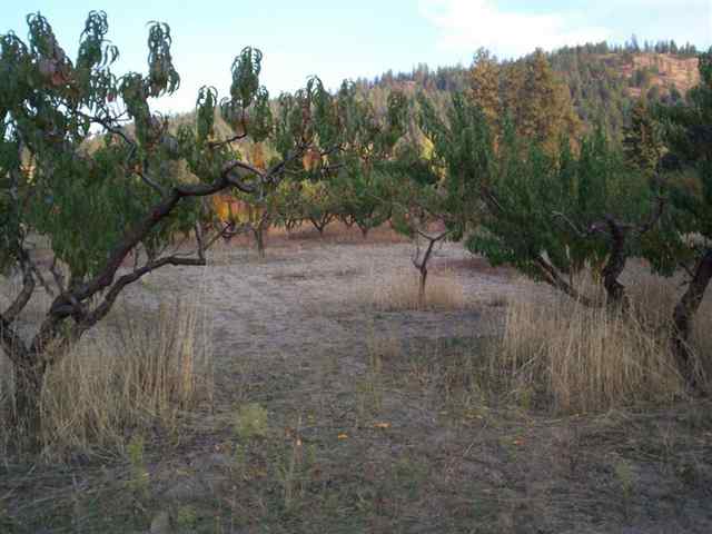 Lot 4 Peachcrest Road Kettle Falls, WA 99141 - Photo 3 of 5 Gallery Image 3