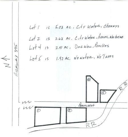 Lot 4 Peachcrest Road Kettle Falls, WA 99141 - Photo 5 of 5 Gallery Image 5