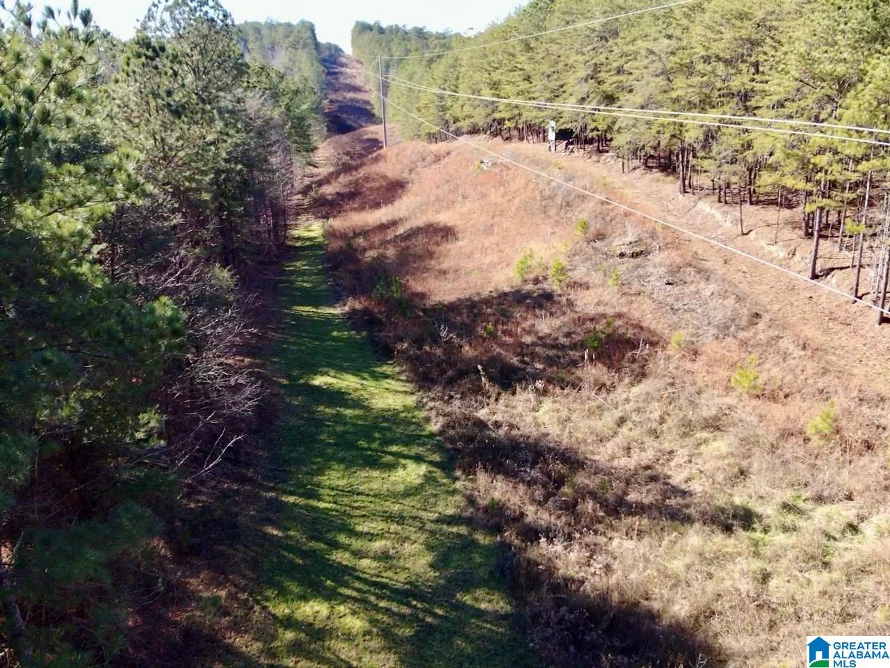 5000 Eads Uptain Road, Unit 1 2 3 4 Adger, AL 35006 - Photo 29 of 35