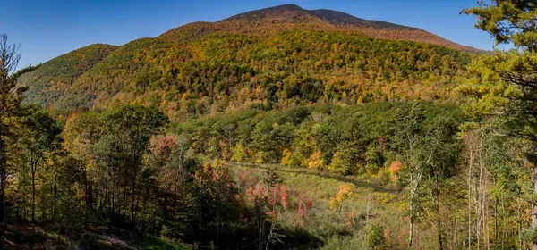 $3,000 | 216 South End Road, Mount Tabor, VT 05253