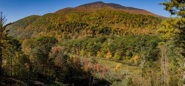 $3,000 | 216 South End Road, Mount Tabor, VT 05253