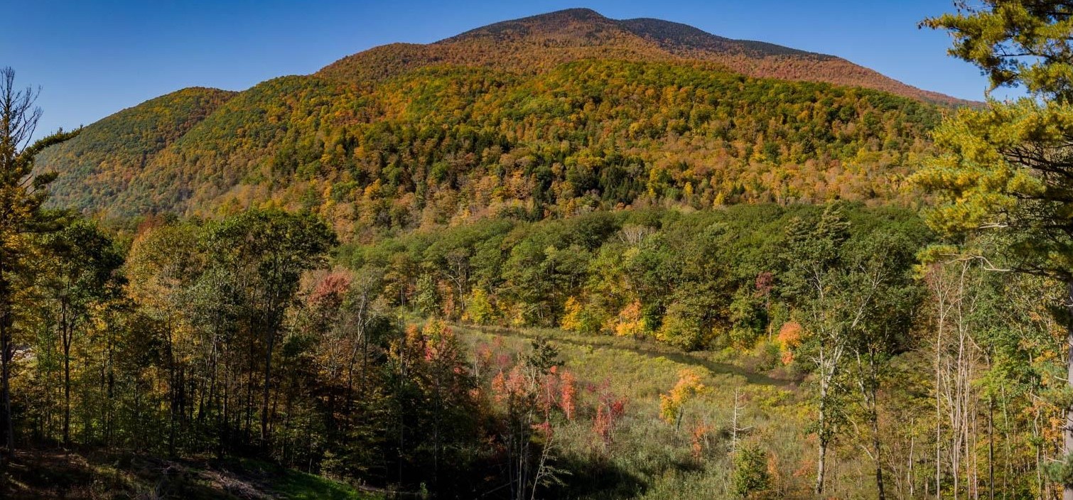 216 South End Road Mount Tabor, VT 05253 - Photo 16 of 18