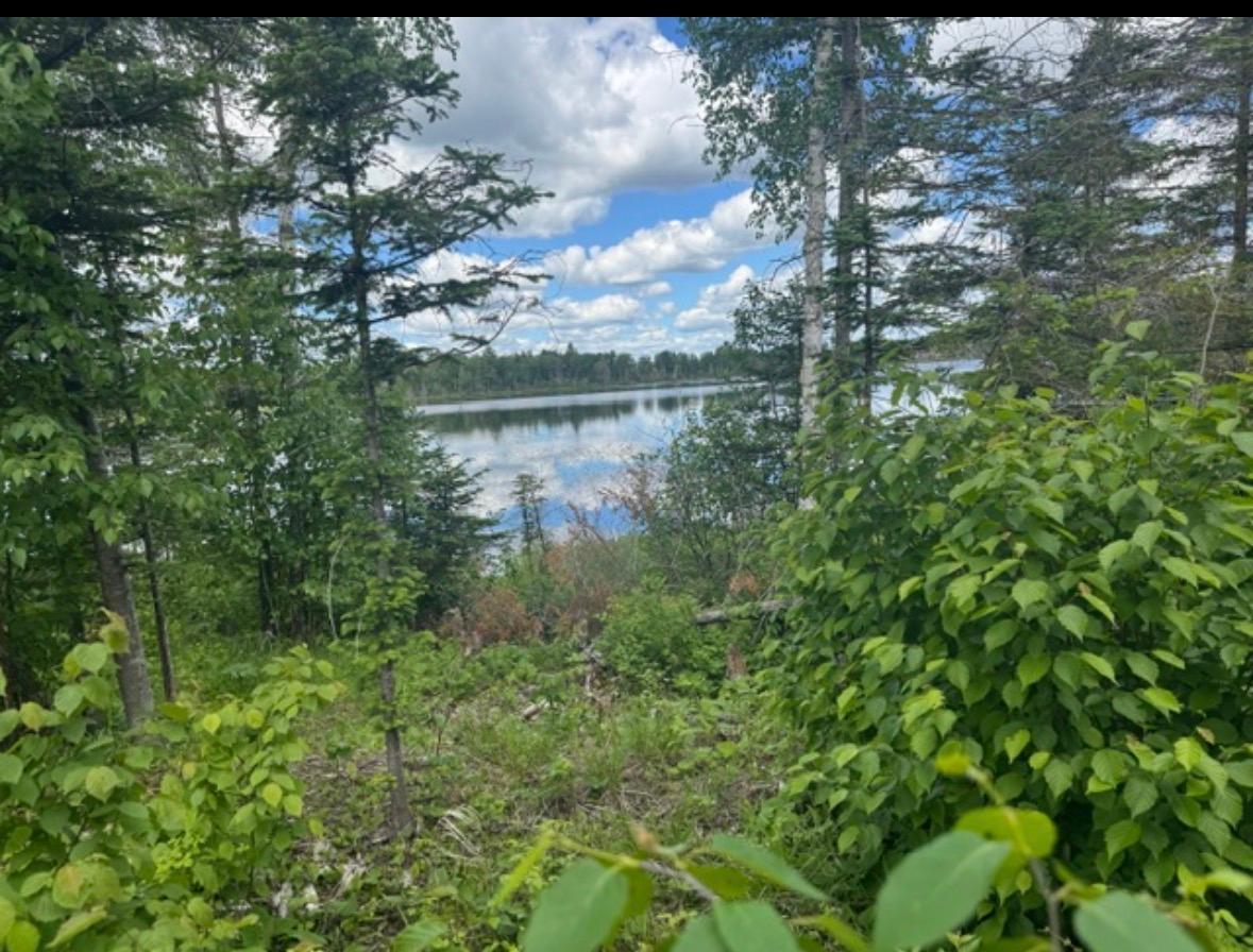 Tbd6.5 Moose Lake Road Duluth, MN 55803 - Photo 11 of 18