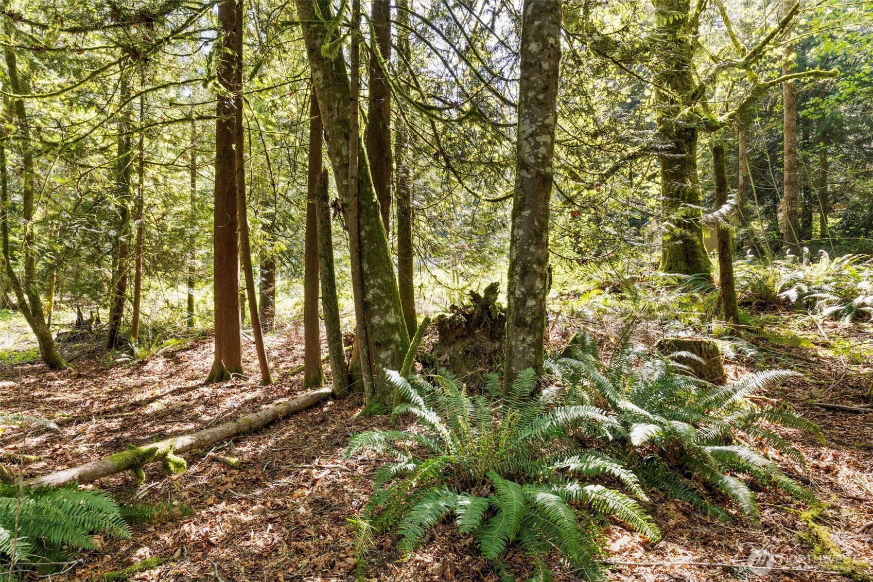 7831 Phillips Road Southeast Port Orchard, WA 98367 - Photo 21 of 24 Gallery Image 21