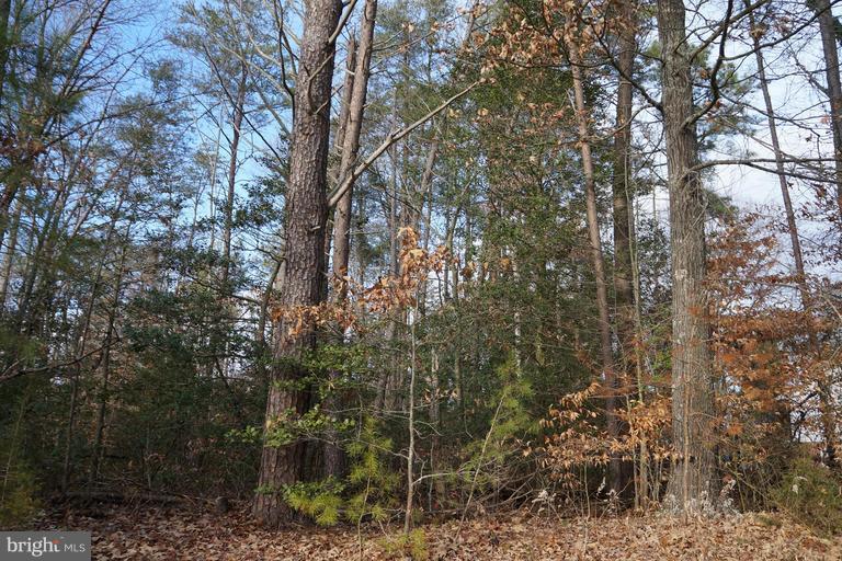 Golansville Road Ruther Glen, VA 22546 - Photo 1 of 1 Exterior (General)