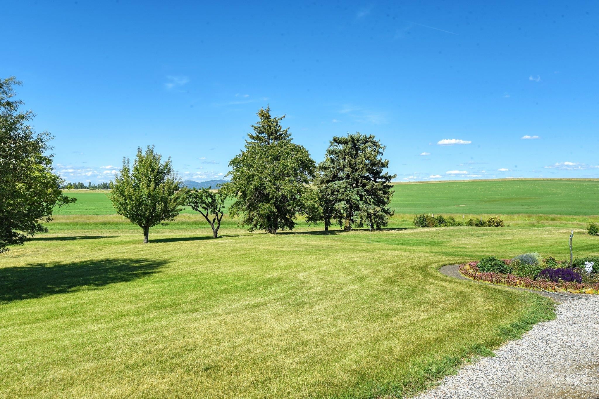13404 North Carstens Road Reardan, WA 99029 - Photo 31 of 44