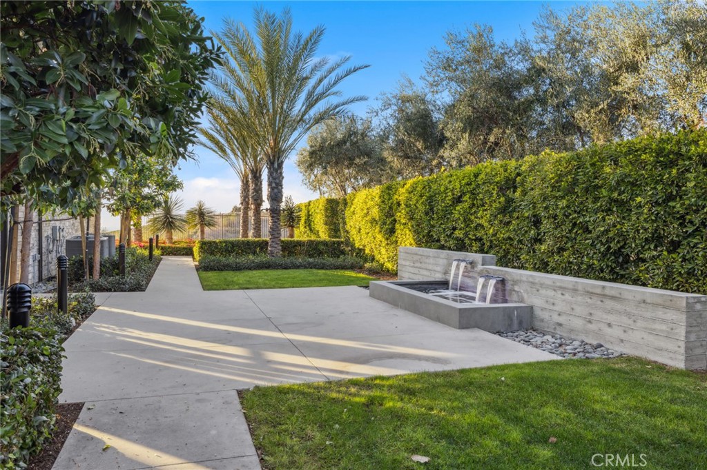 526 Serrano Summit Drive Lake Forest, CA 92630 - Photo 59 of 59 a view of backyard with tree