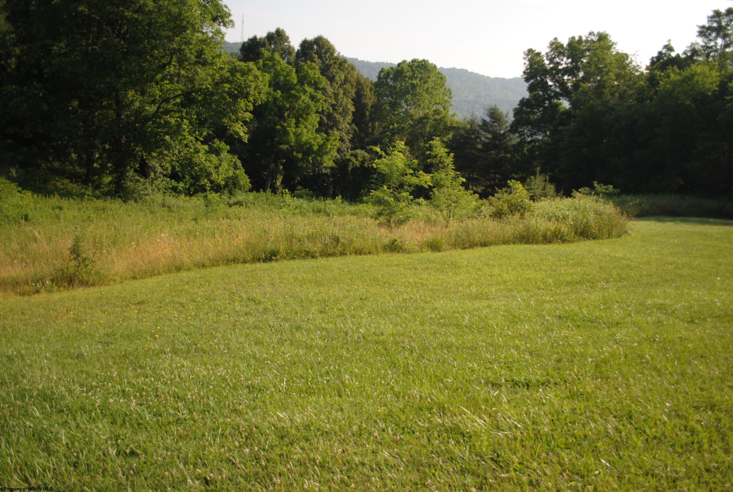 Tbd Rohrbough Street Belington, WV 26250 - Photo 5 of 20 Gallery Image 5