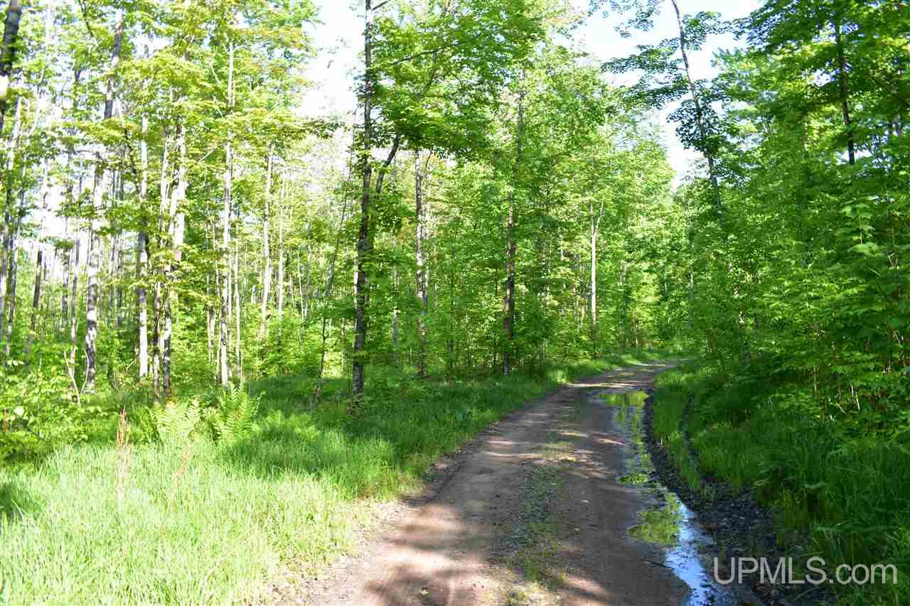 12651 Goodreau Road Skanee, MI 49962 - Photo 29 of 50 Gallery Image 29