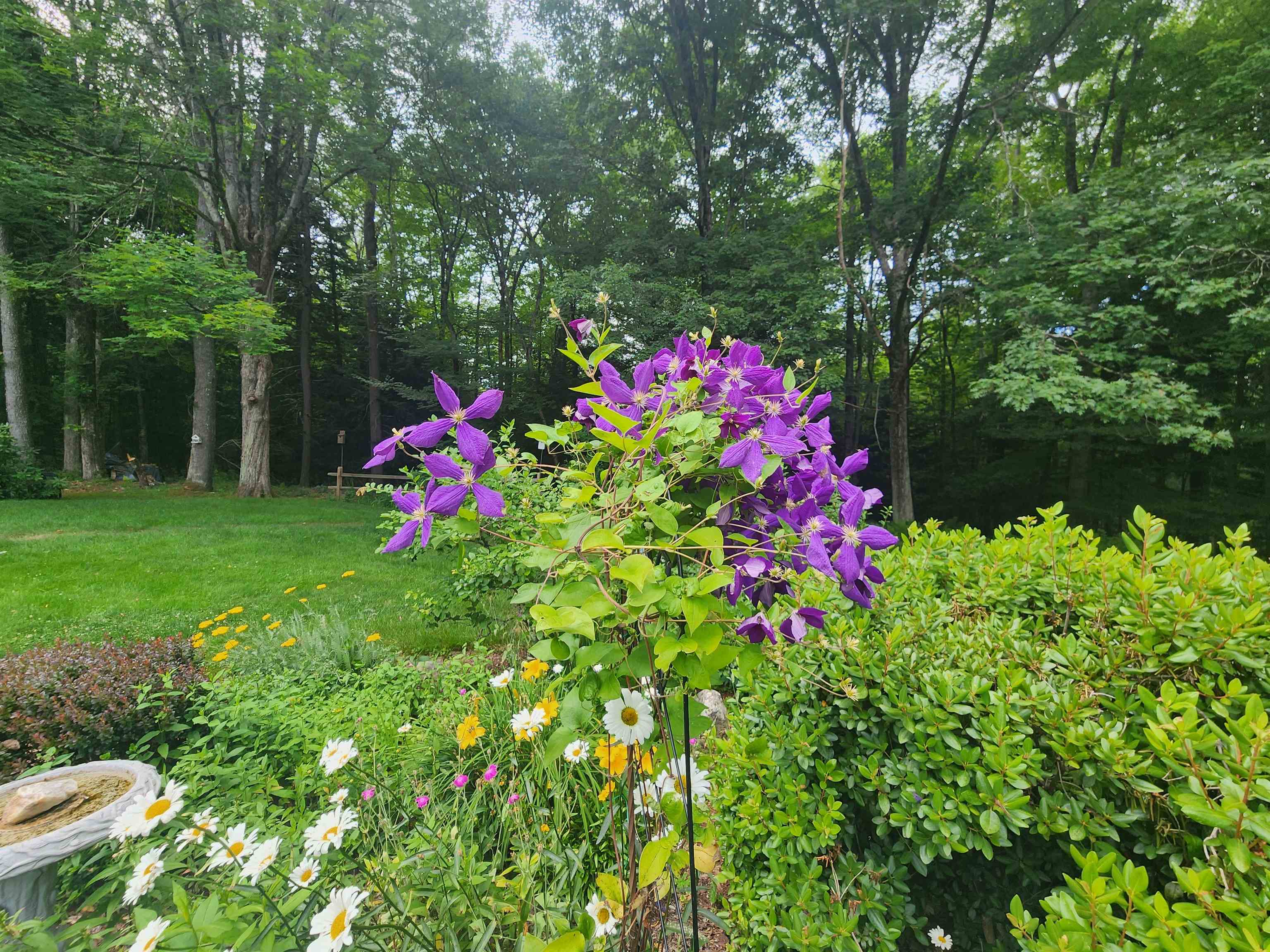 79 Breezy Hill Road Springfield, VT 05156 - Photo 20 of 26