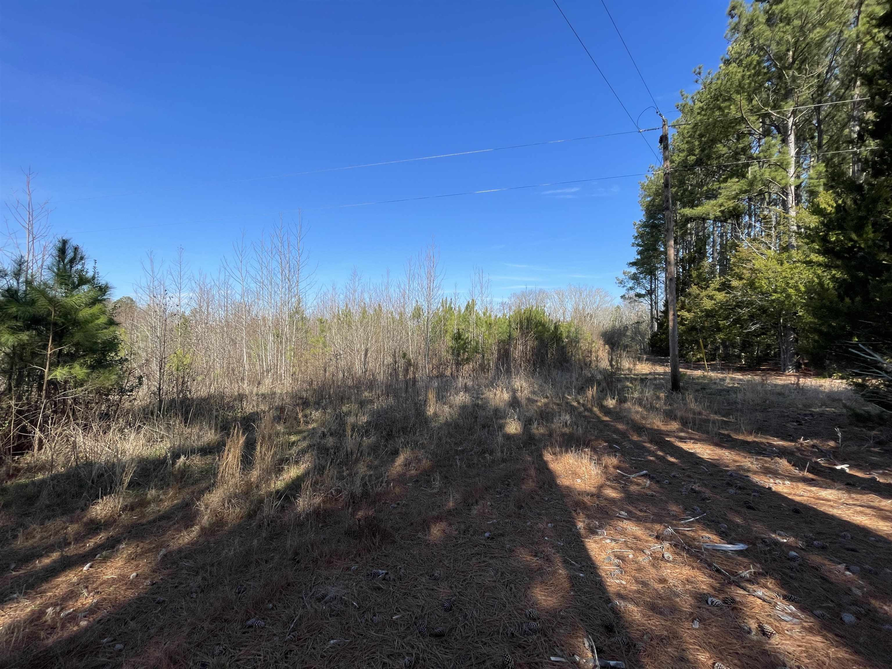 2 C Lettuce Hall Rd Spring Spring Hope, NC 27882 - Photo 2 of 7 Photo 2