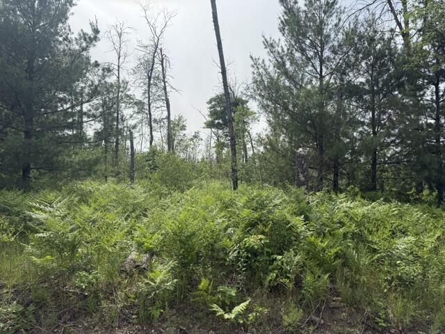 2 South Nelson Road Idlewild, MI 49642 - Photo 2 of 4 IMG_6956