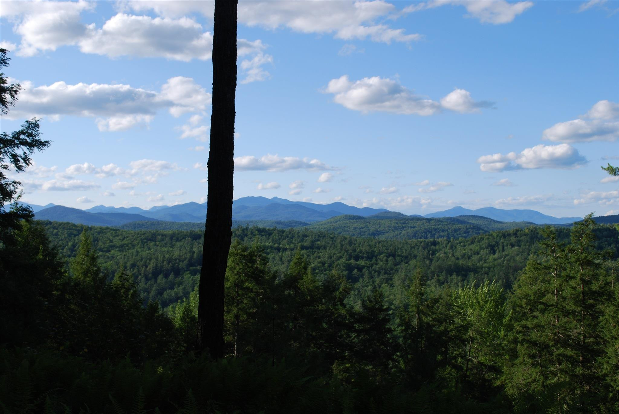 164 Crane Pond Road Schroon, NY 12870 - Photo 17 of 39 Photo 17