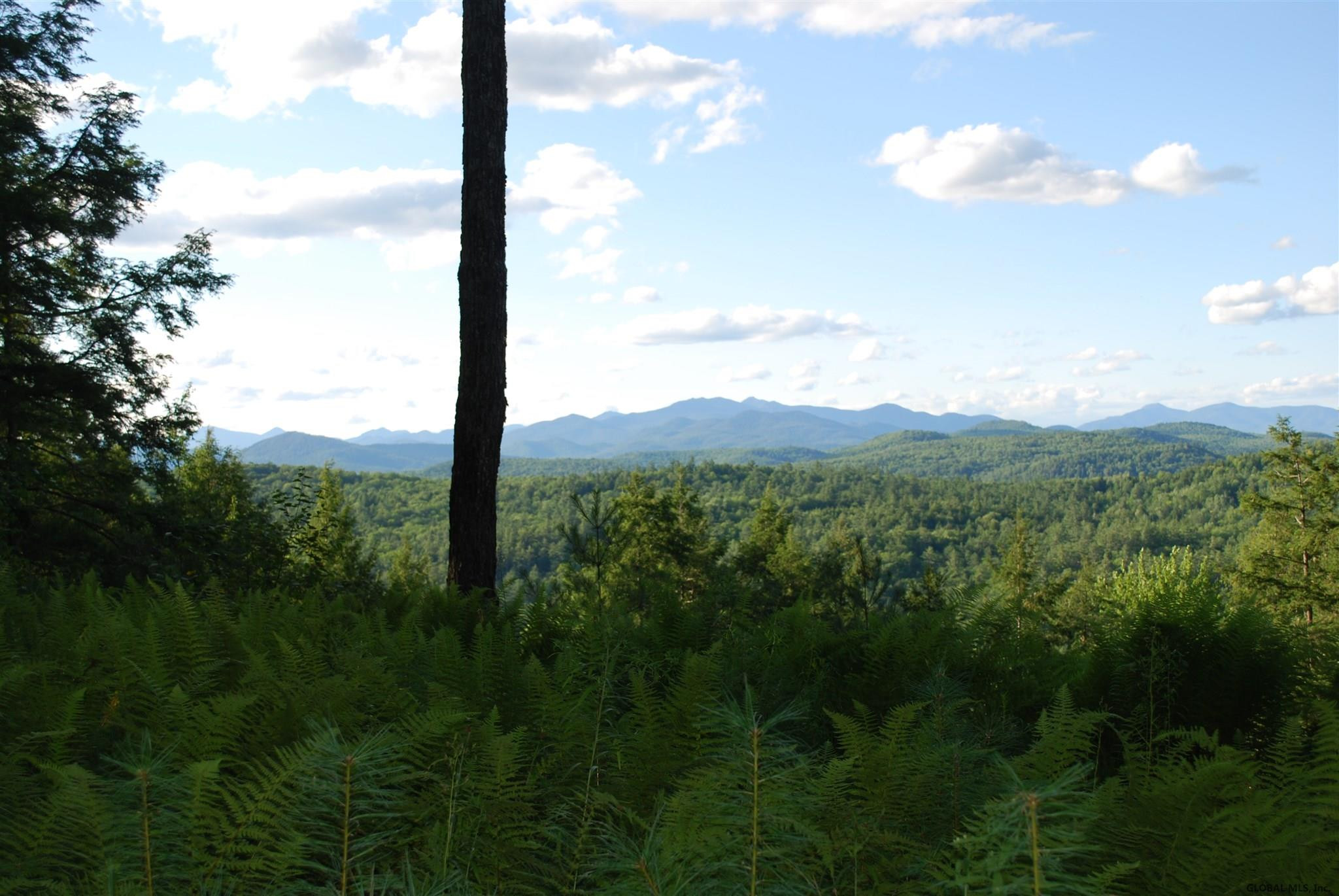 164 Crane Pond Road Schroon, NY 12870 - Photo 27 of 39 Photo 27