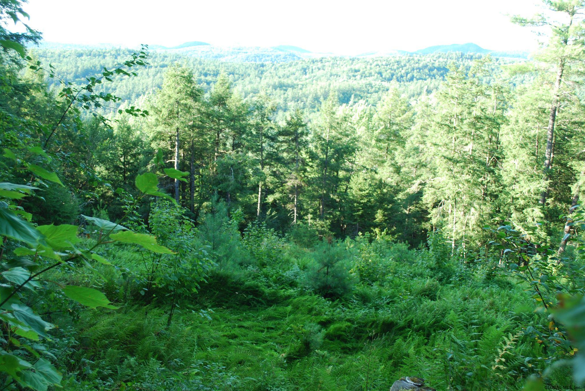 164 Crane Pond Road Schroon, NY 12870 - Photo 29 of 39 Photo 30