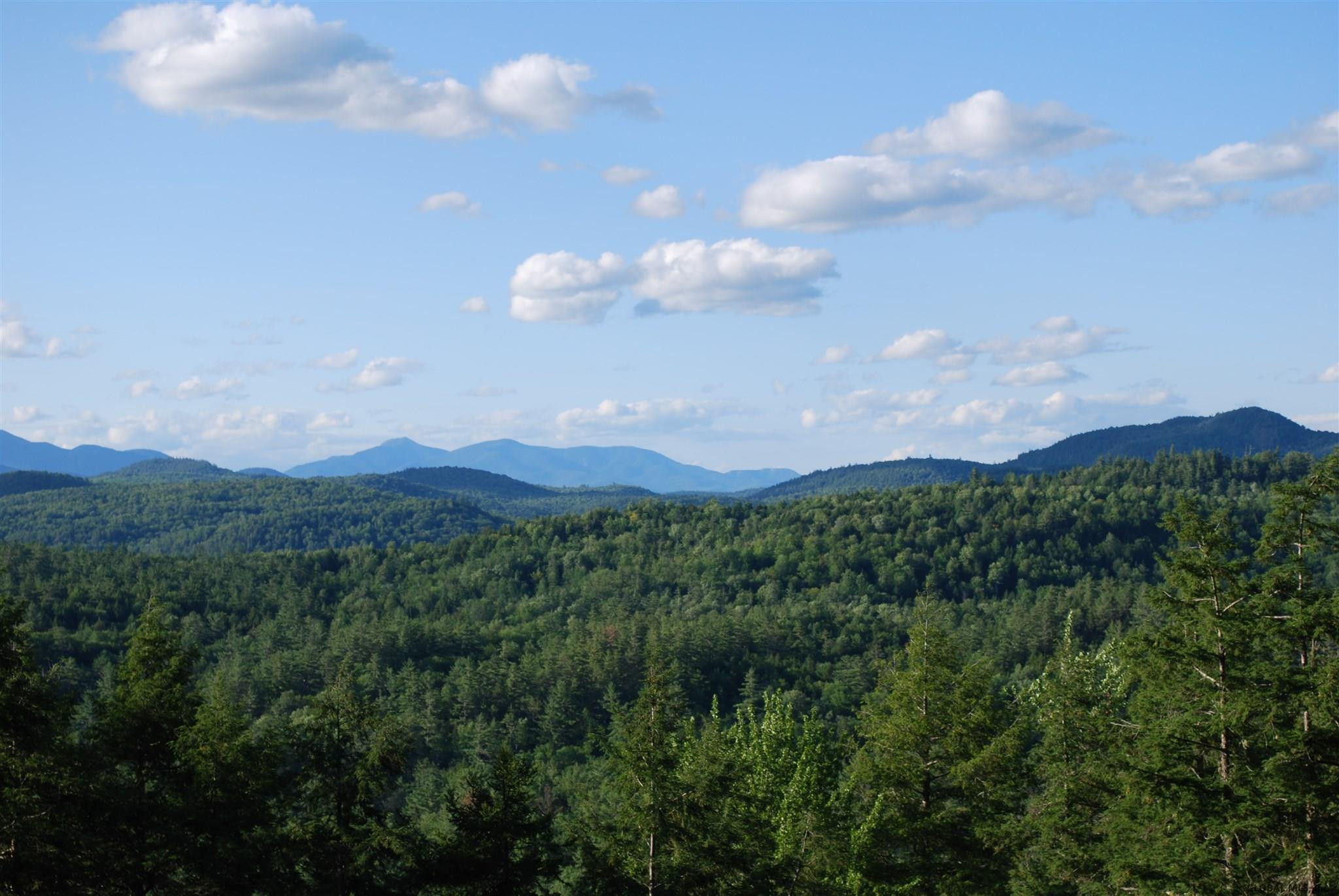 164 Crane Pond Road Schroon, NY 12870 - Photo 4 of 39 Photo 4