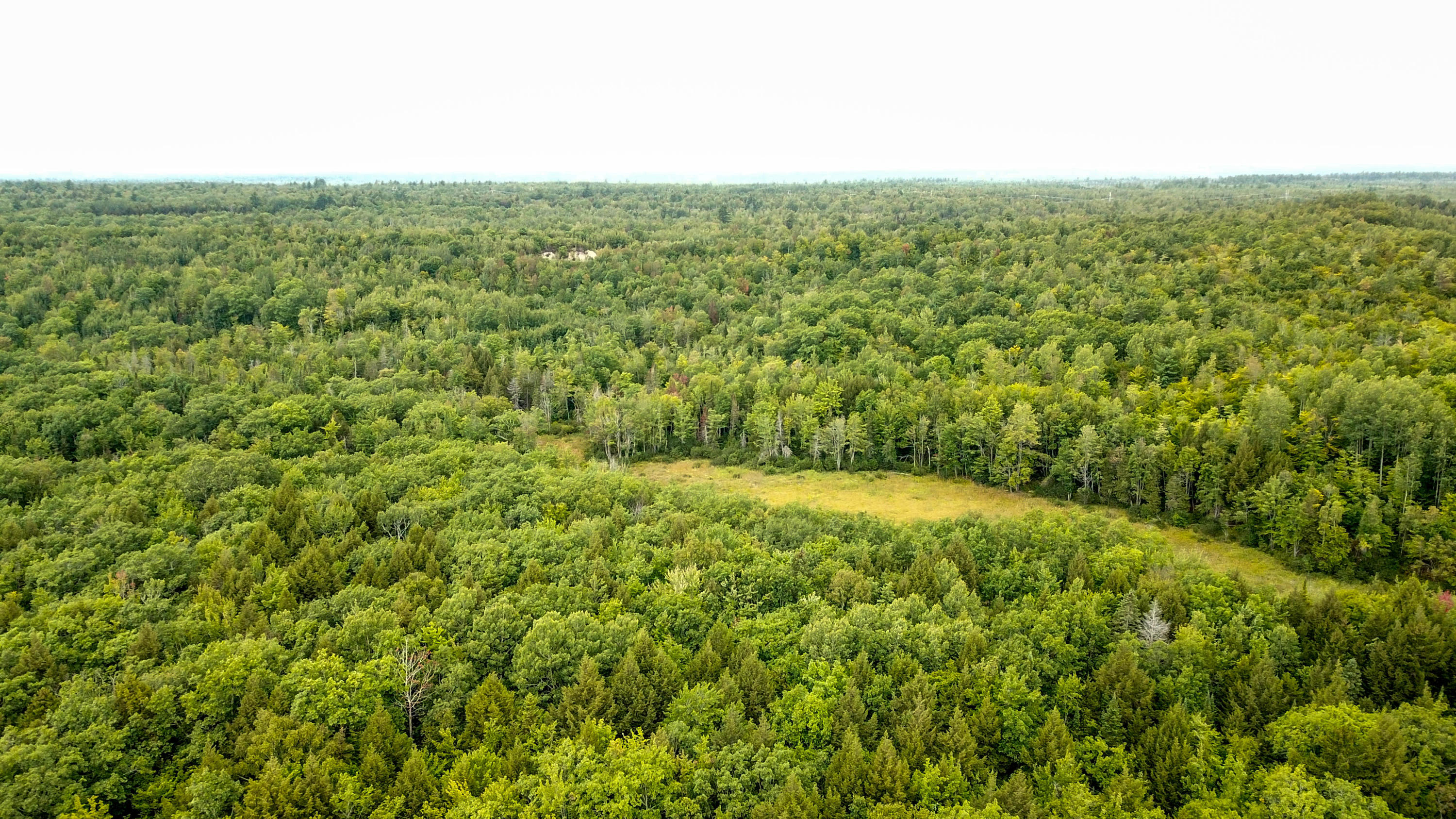 Lot 9 South Chester Road Chester, ME 04457 - Photo 21 of 37 Forested