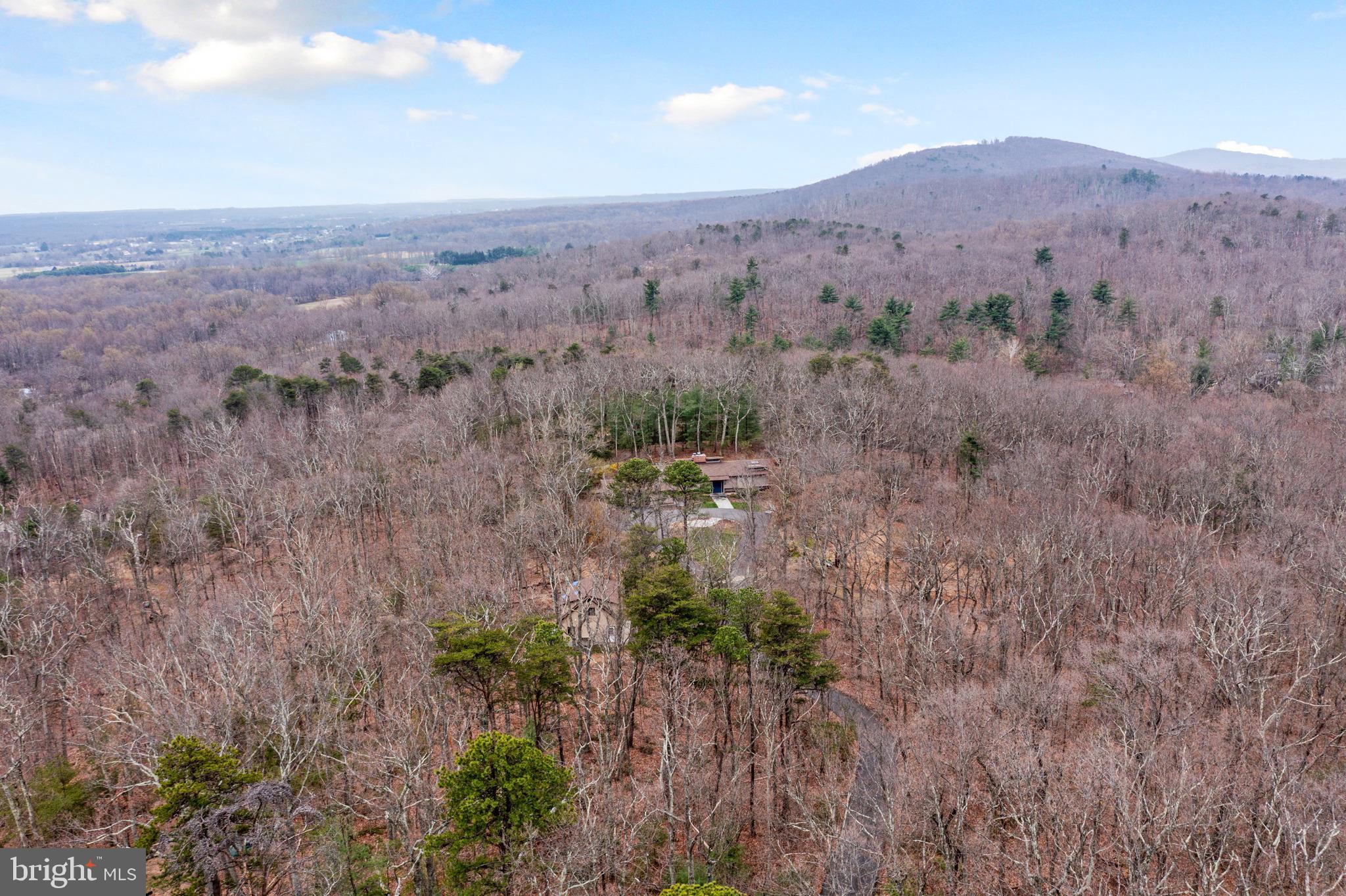 39405 Longhill Lane Aldie, VA 20105 - Photo 42 of 56