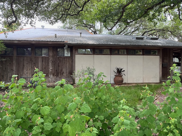 1211 Ruth Avenue Austin, TX 78757 - Photo 1 of 1 a view of a house with a small yard and plants