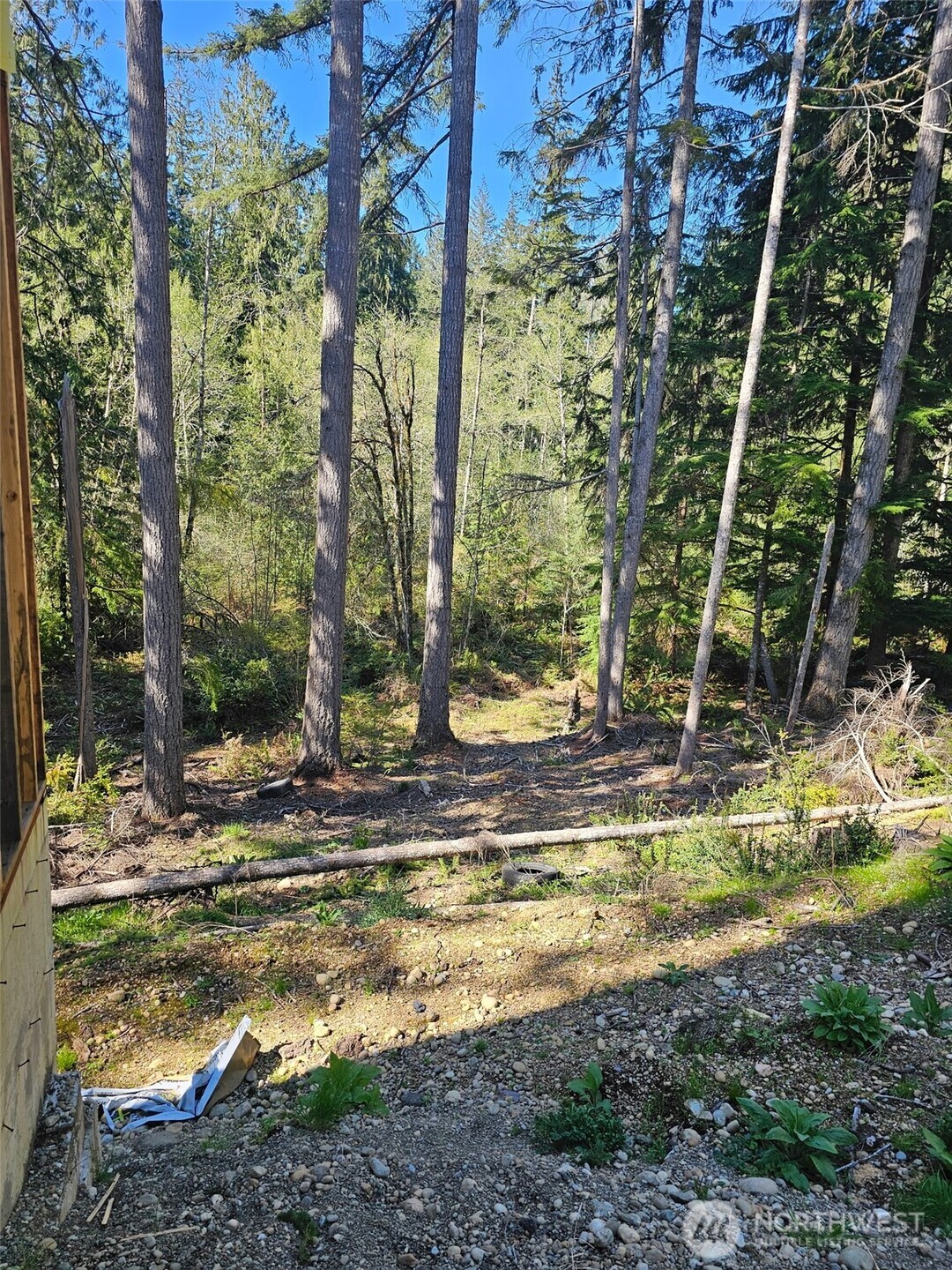 821 East Olde Lyme Road Shelton, WA 98584 - Photo 17 of 33 a view of a yard with swimming pool