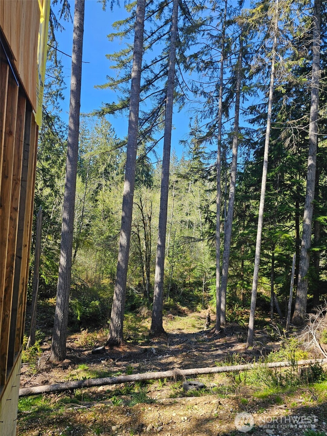 821 East Olde Lyme Road Shelton, WA 98584 - Photo 18 of 33 a view of a garden with trees
