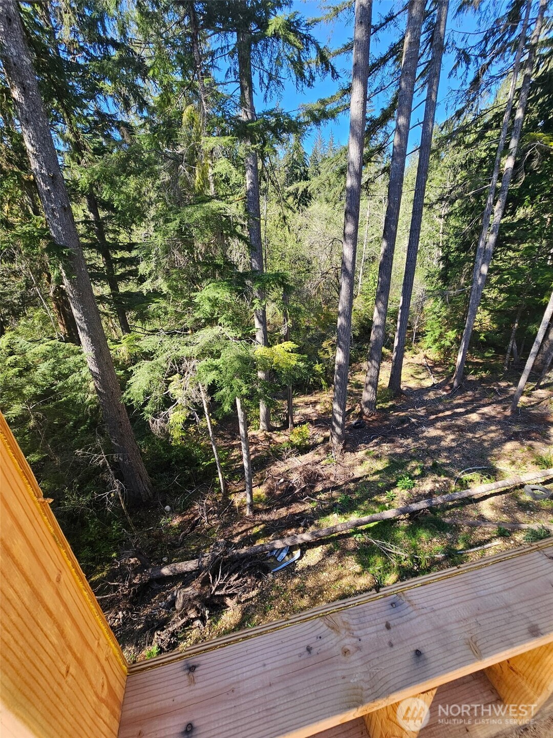 821 East Olde Lyme Road Shelton, WA 98584 - Photo 20 of 33 a view of a yard