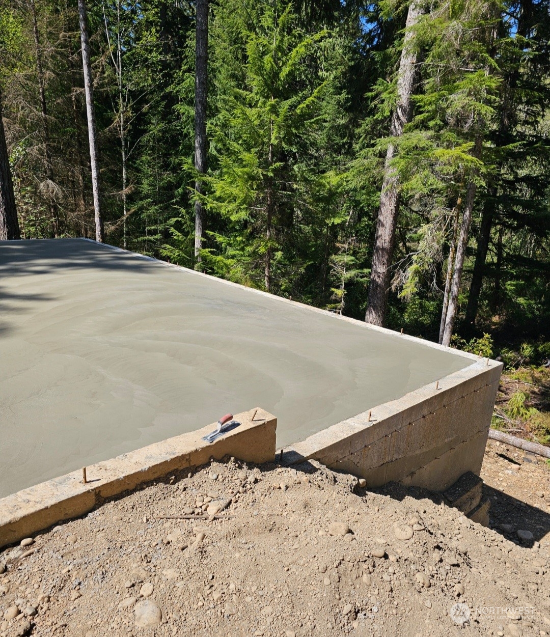 821 East Olde Lyme Road Shelton, WA 98584 - Photo 23 of 33 a view of a dry yard with trees