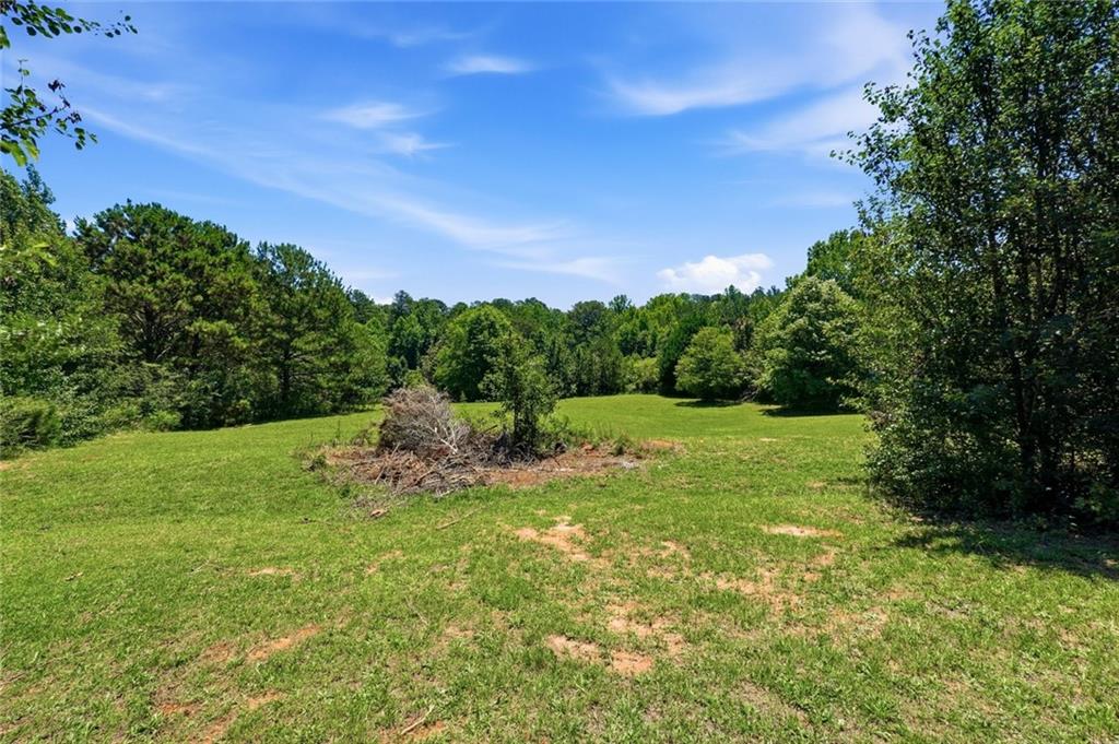 275 Jack Russell Road Newnan, GA 30263 - Photo 32 of 33