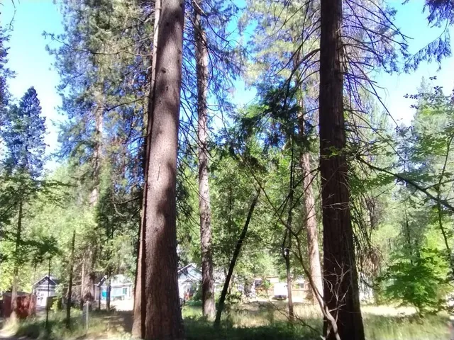 $93,900 | 506 Silva Avenue, Nevada City, CA 95959