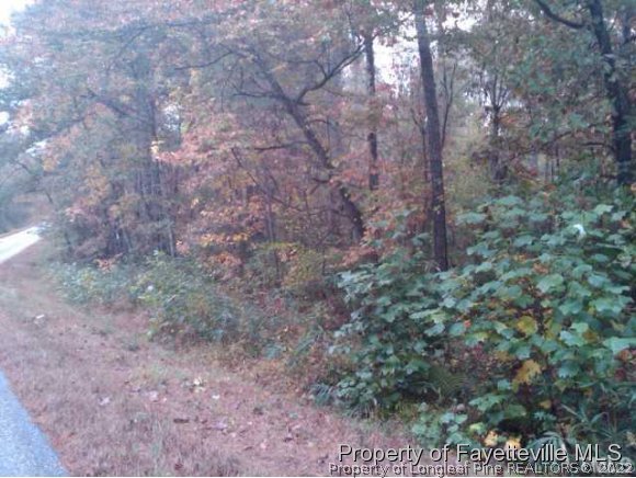 17 Mclean Chapel Church Road Bunnlevel, NC 28323 - Photo 1 of 1 Gallery Image 1