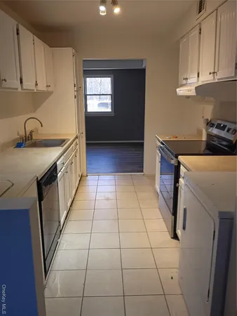 a kitchen with a sink a stove and cabinets