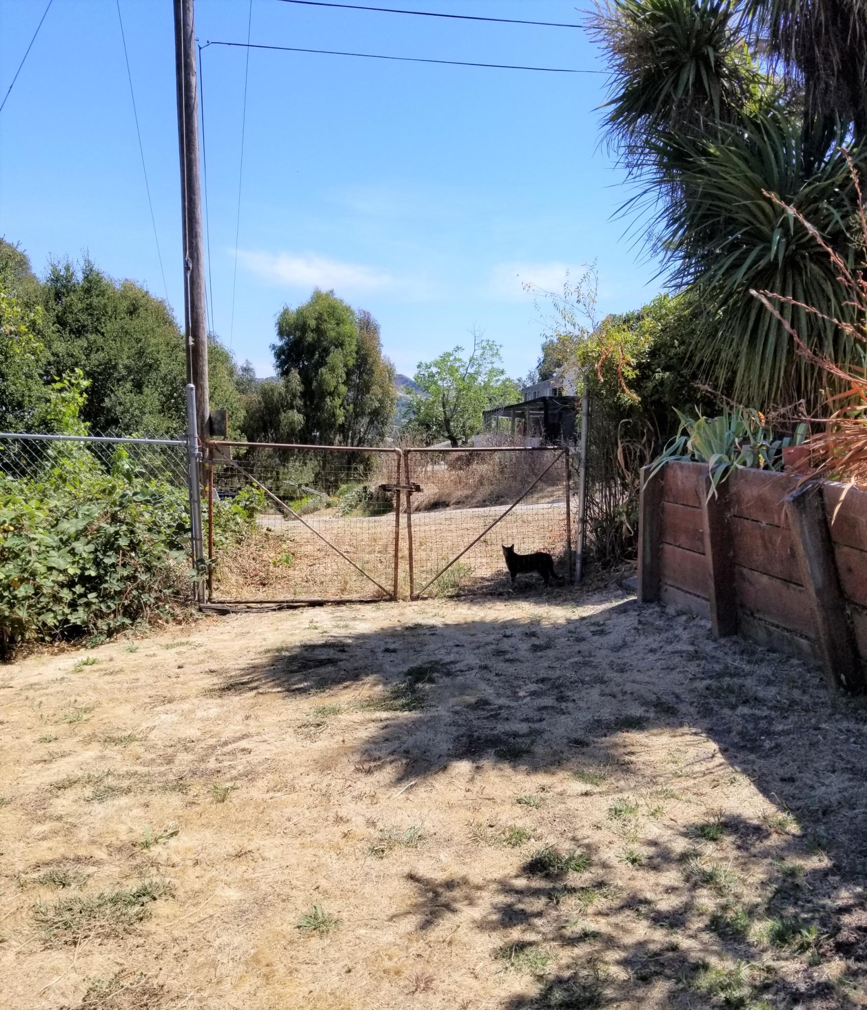 4087 Lambert Road El Sobrante, CA 94803 - Photo 32 of 35 20190821_142405 (2)
