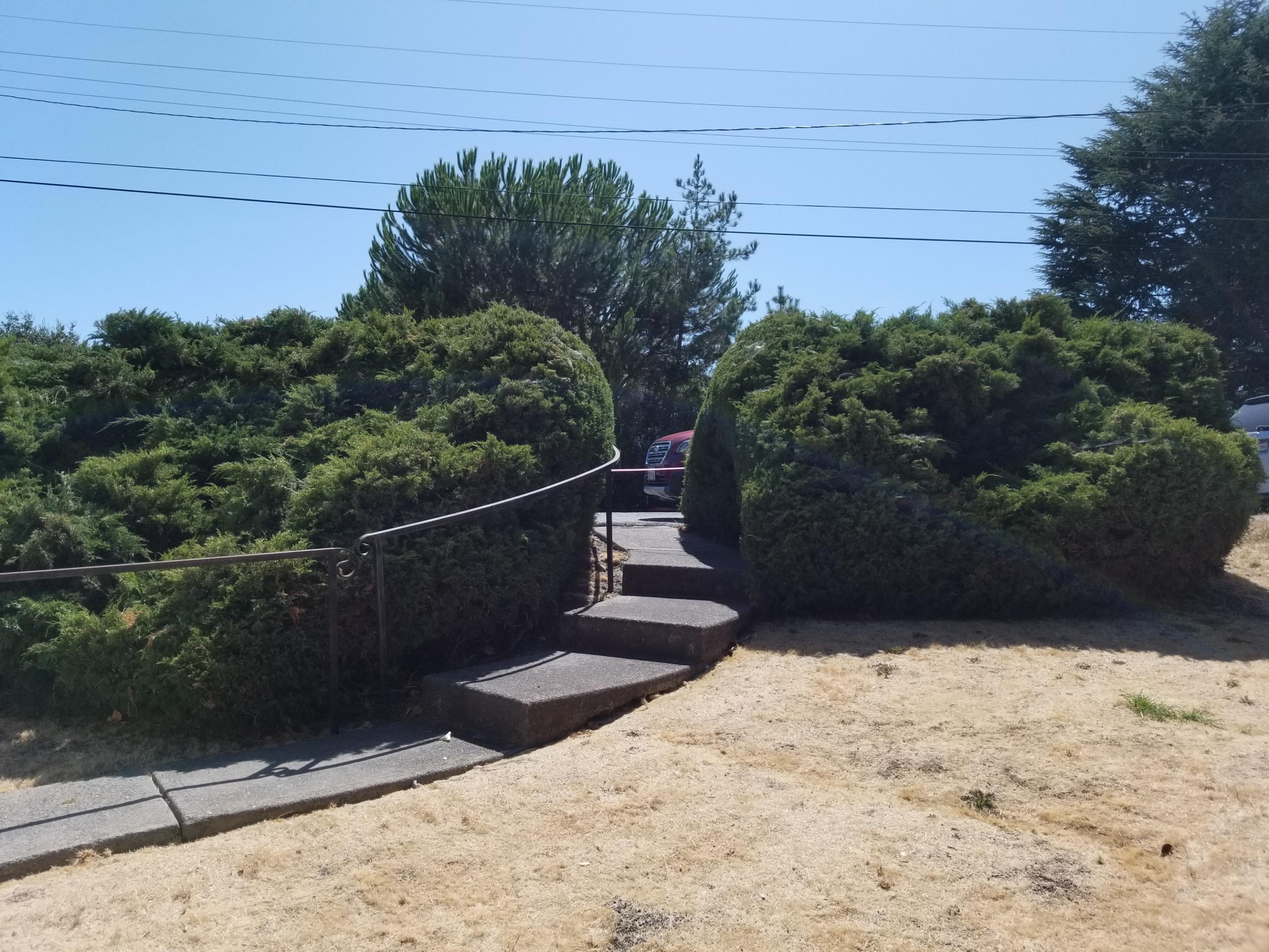 4087 Lambert Road El Sobrante, CA 94803 - Photo 5 of 35 20190821_150122