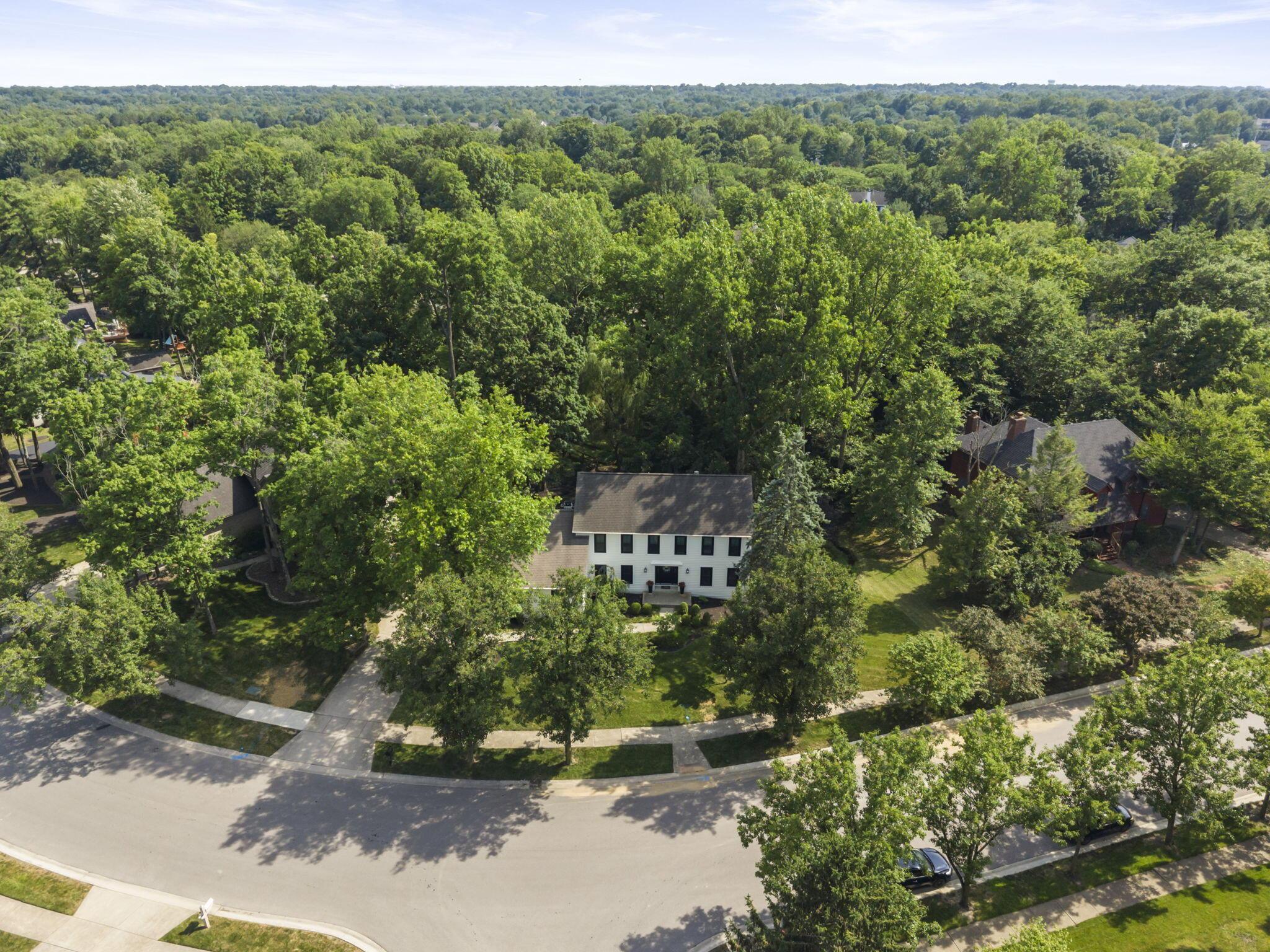222 Beech Ridge Drive Powell, OH 43065 - Photo 79 of 82 78-web-or-mls-DJI_20260709164048_0389_D