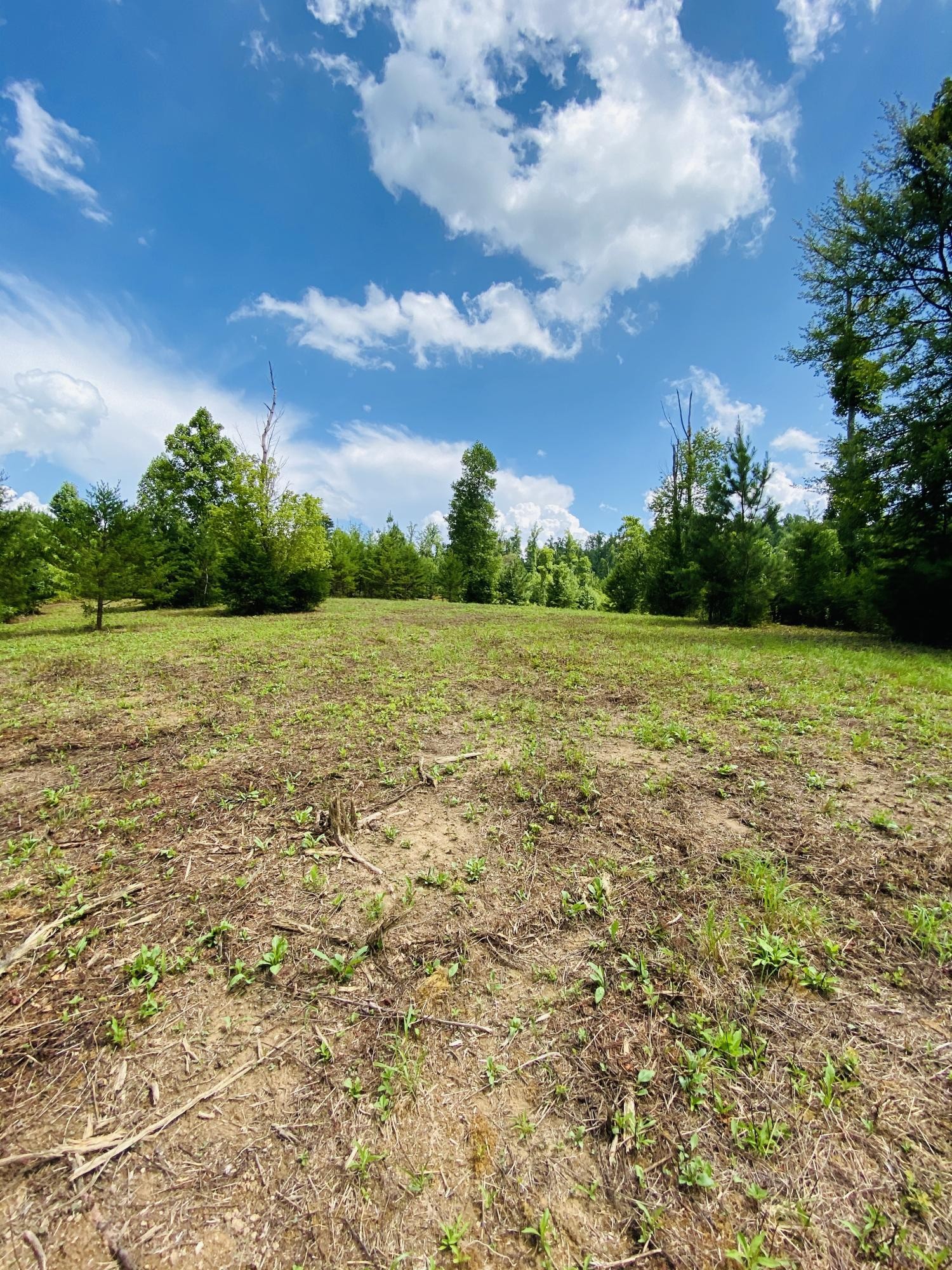 0 Powdermill Drive Tellico Plains, TN 37385 - Photo 10 of 15 Gallery Image 10