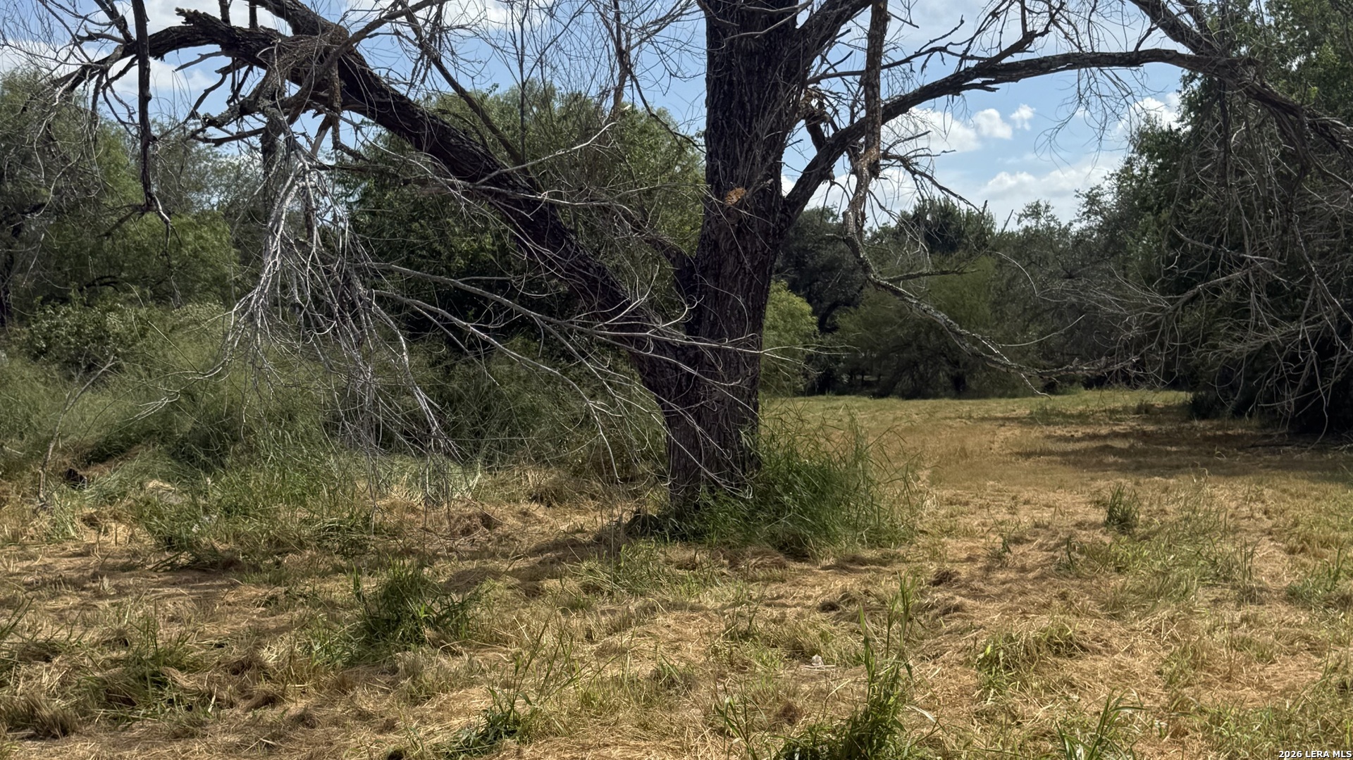 810 Shenandoah Street Poth, TX 78147 - Photo 7 of 9