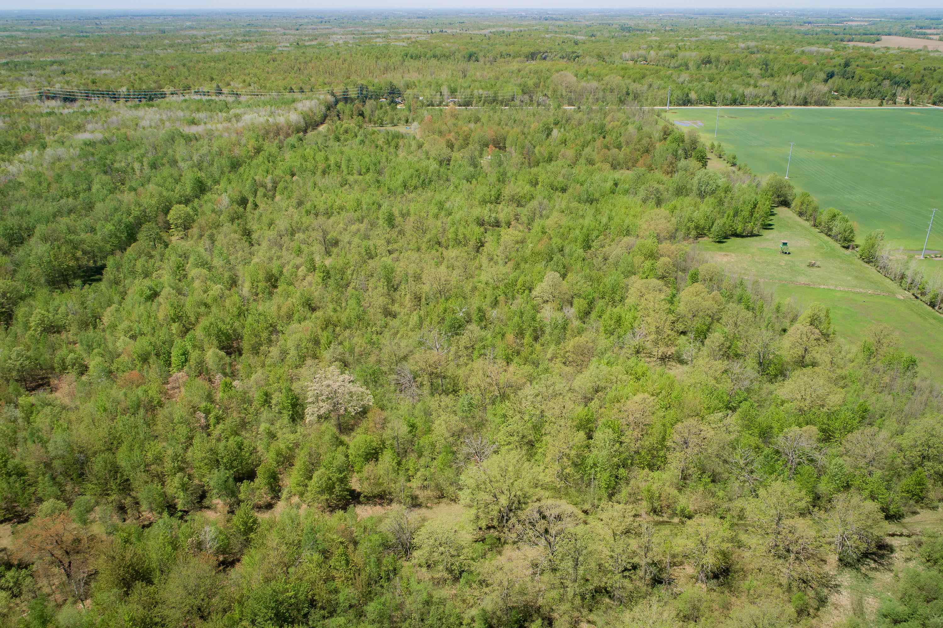 2250 North Coleman Road Coleman, MI 48618 - Photo 57 of 66
