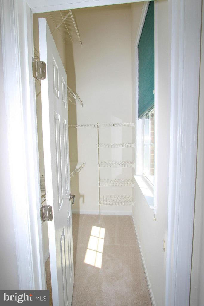 6035 Riddle Walk Alexandria, VA 22312 - Photo 14 of 30 Bedroom (Master)