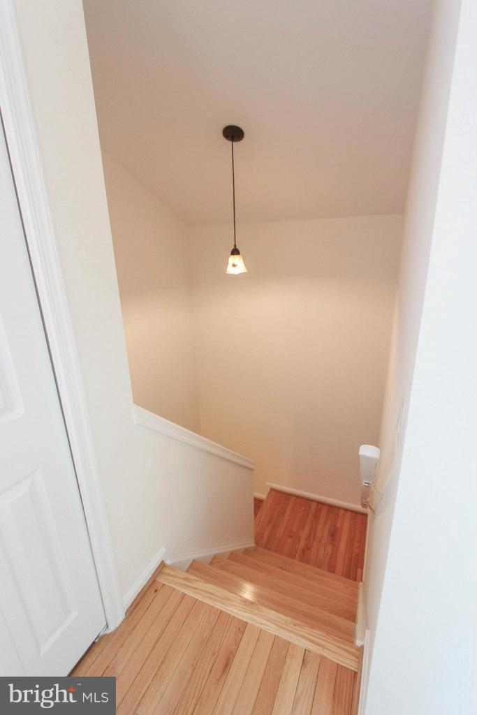 6035 Riddle Walk Alexandria, VA 22312 - Photo 24 of 30 Interior (General)