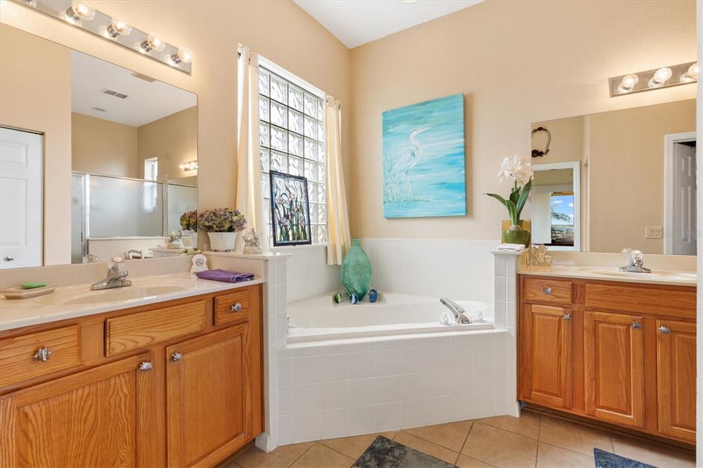 17031 Southeast 115th Terrace Road Summerfield, FL 34491 - Photo 20 of 54 a bathroom with a tub a sink and mirror