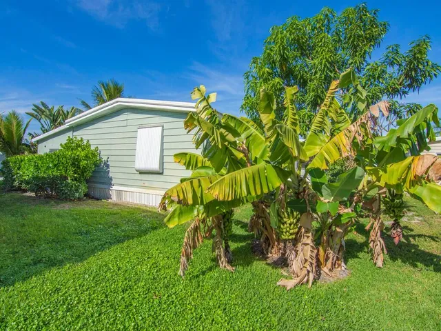 a backyard of a house with table and chairs plants and large tree
