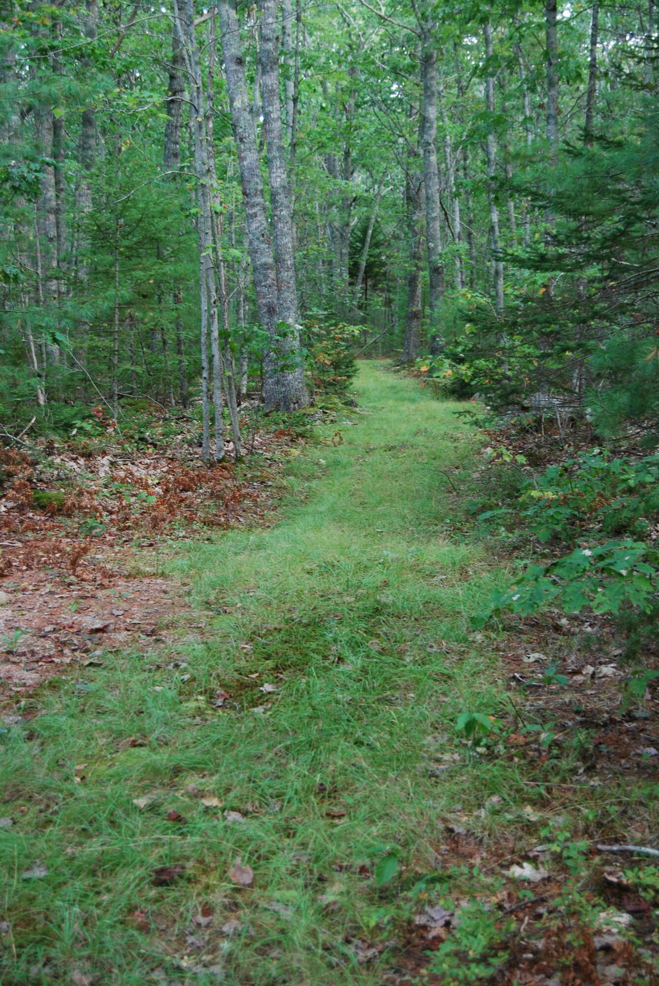 7 Whispering Pines Road Bristol, ME 04539 - Photo 2 of 12 DSC_0163